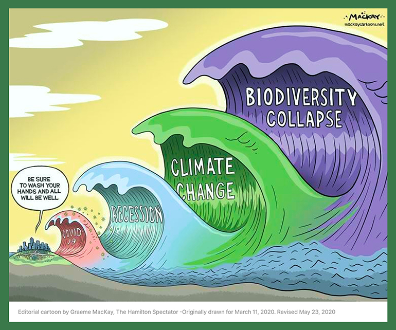 Be Sure To Wash Your Hands And All Will Be Well. COVID 19 – RECESSION – CLIMATE CHANGE – BIODIVERSITY COLLAPSE. Editorial Cartoon by Graeme Mackay, The Hamilton Spectator – Wednesday March 11, 2020